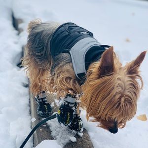 Meet your Posher, Devin